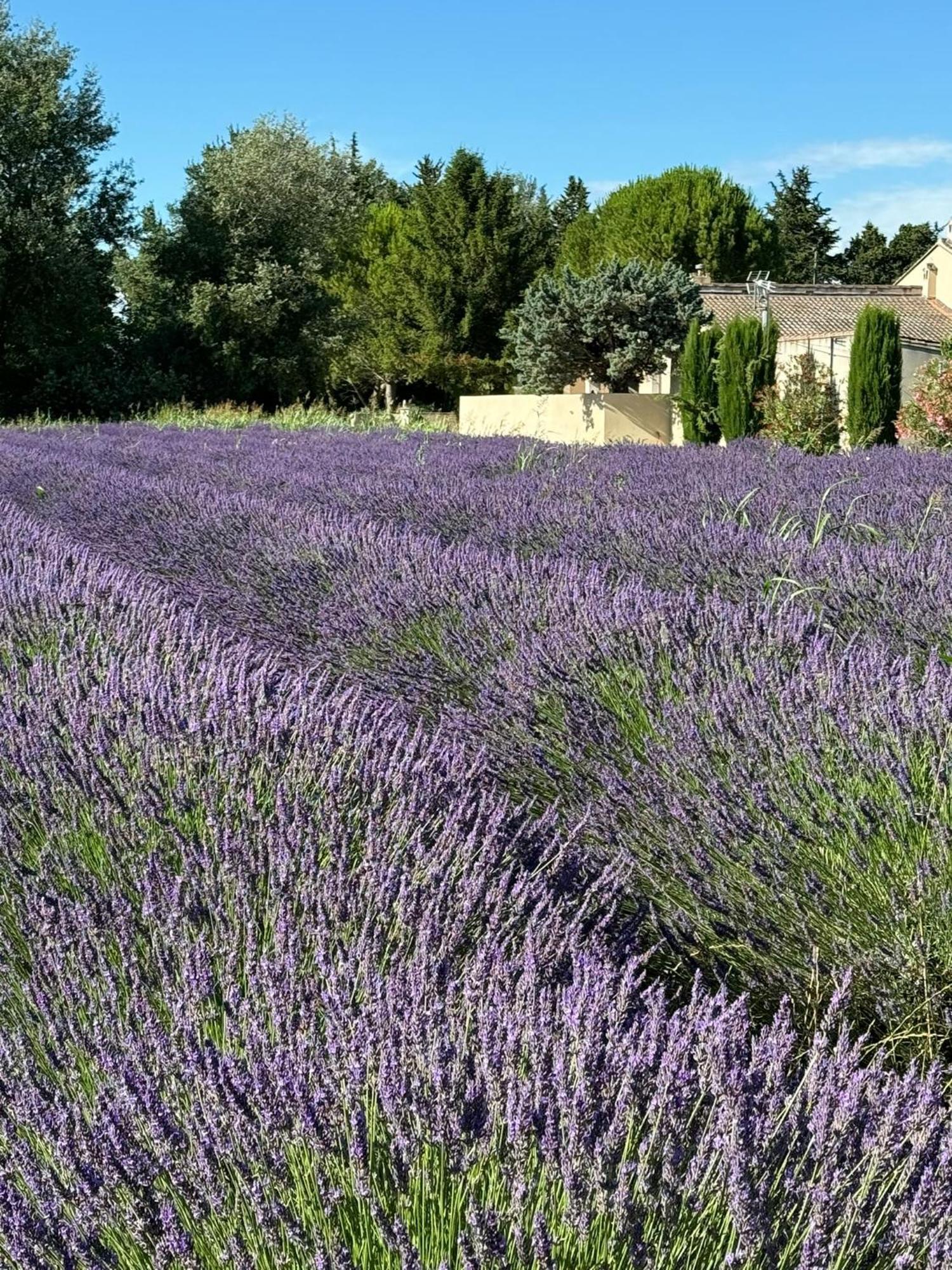 Appartement Neuf Et Au Calme Proche Avignon Althen-des-Paluds Экстерьер фото