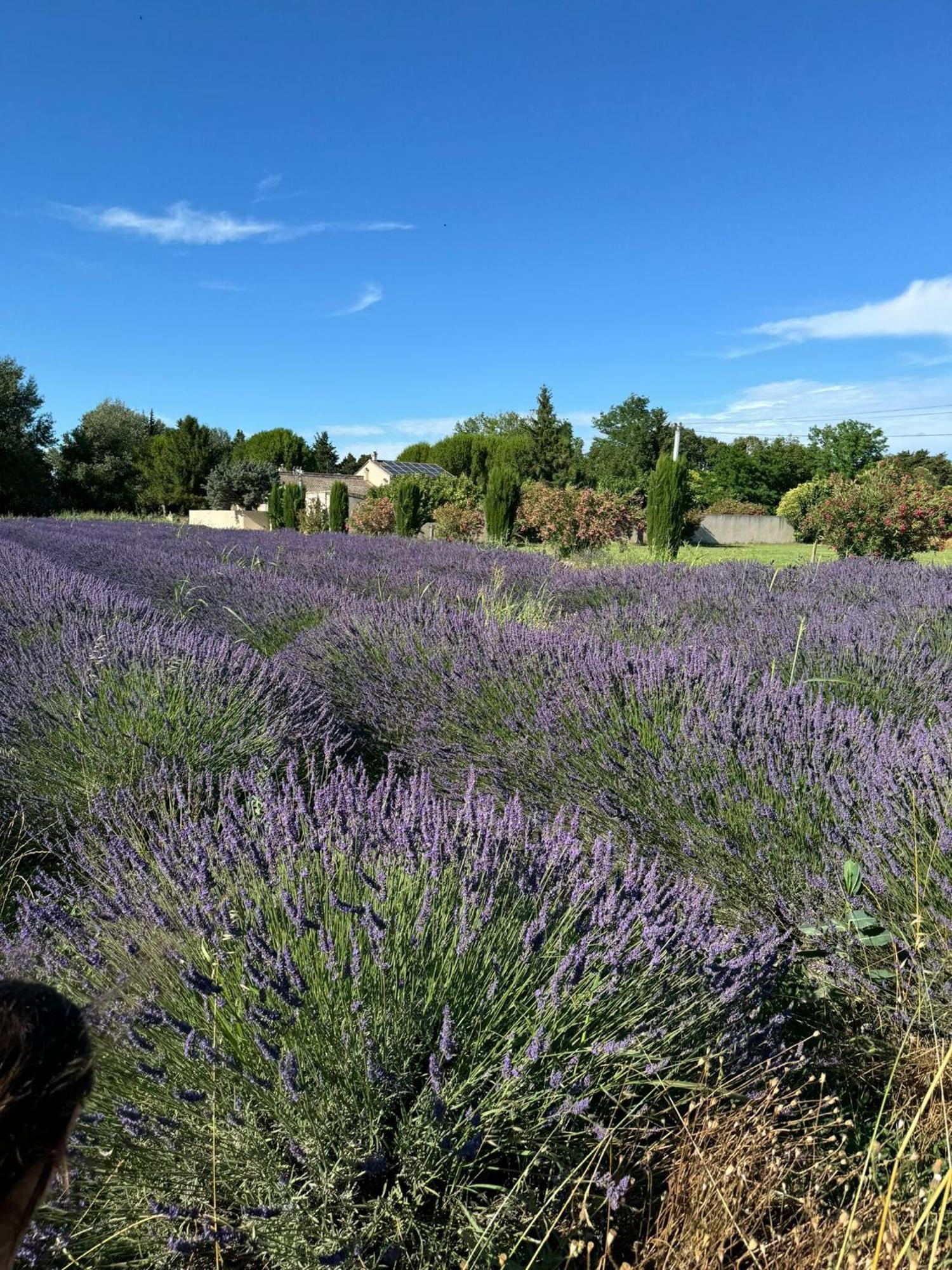 Appartement Neuf Et Au Calme Proche Avignon Althen-des-Paluds Экстерьер фото